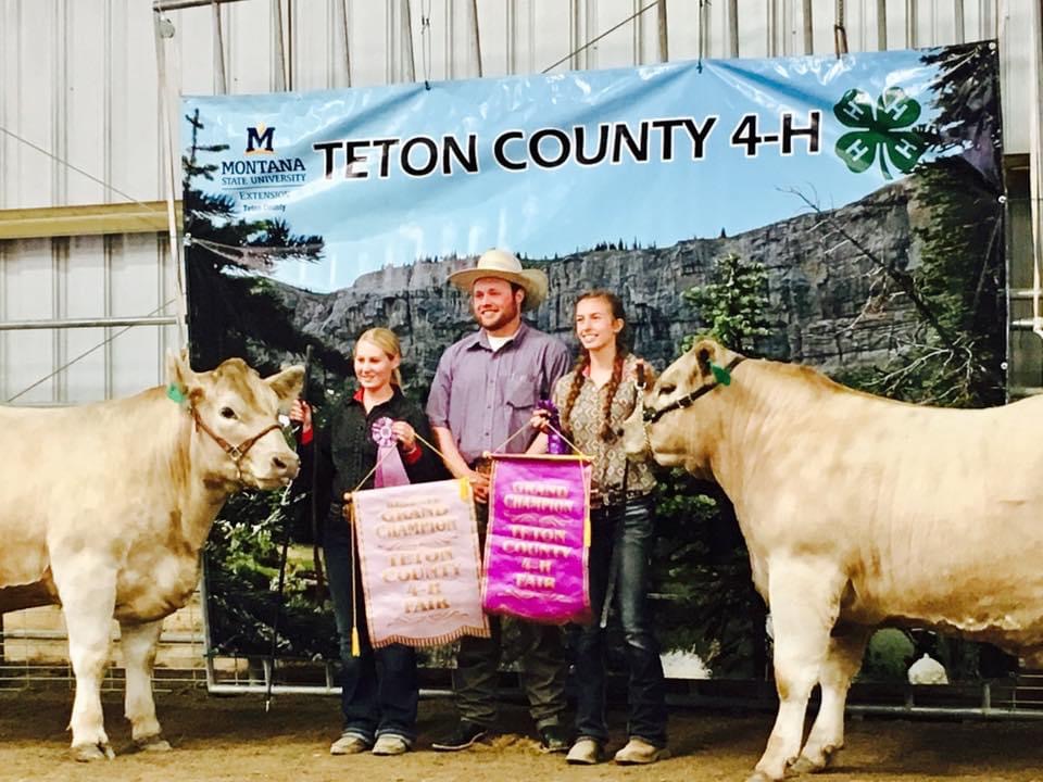 Teton County 4-H Fair : Event Image